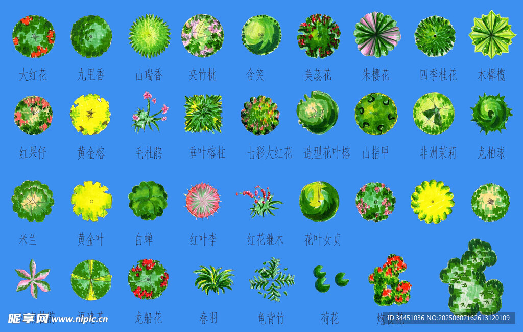 多彩卡通植物圖案集合