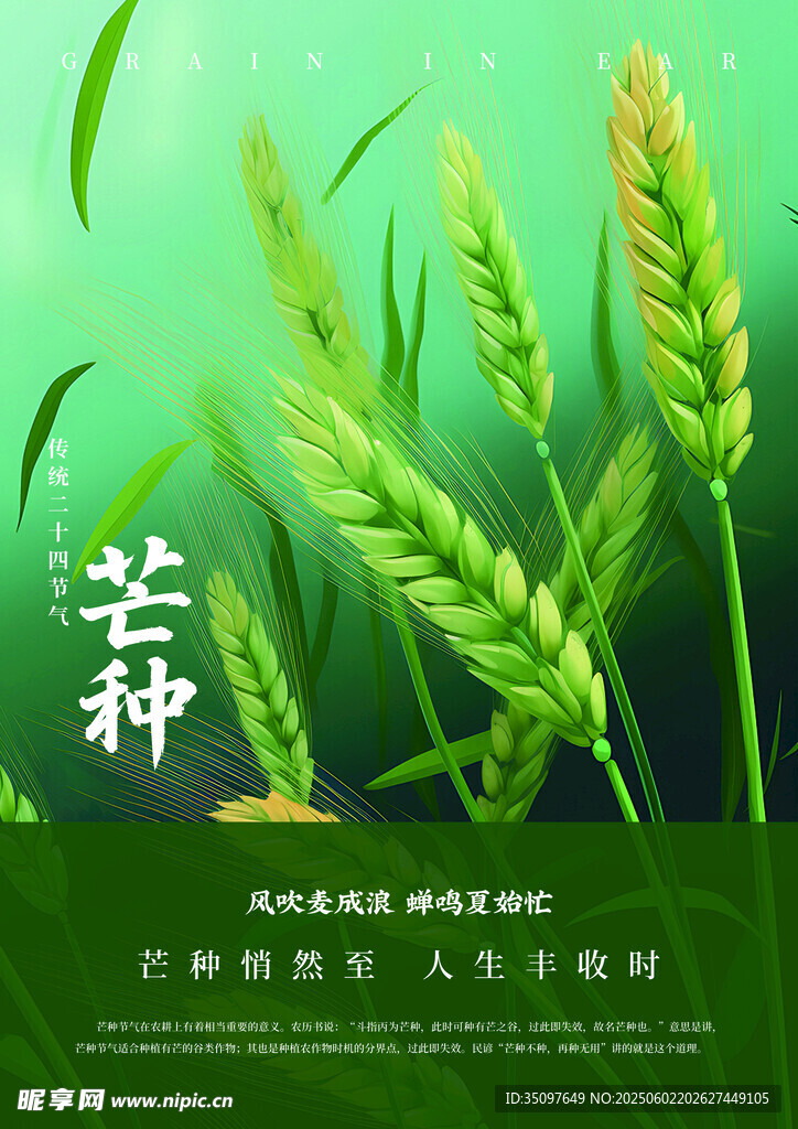 清新芒種