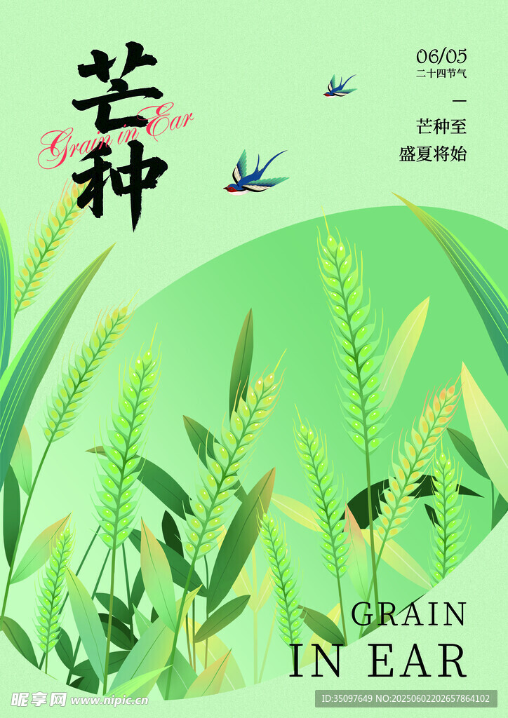 芒種