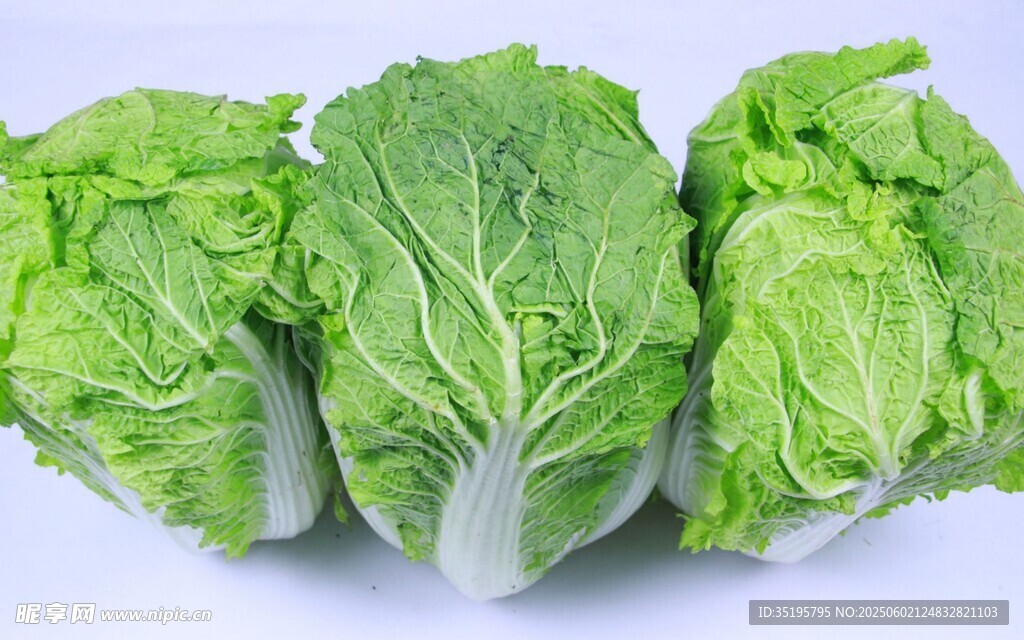 三顆鮮嫩大白菜