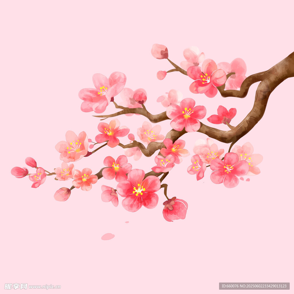 粉色桃花枝插畫