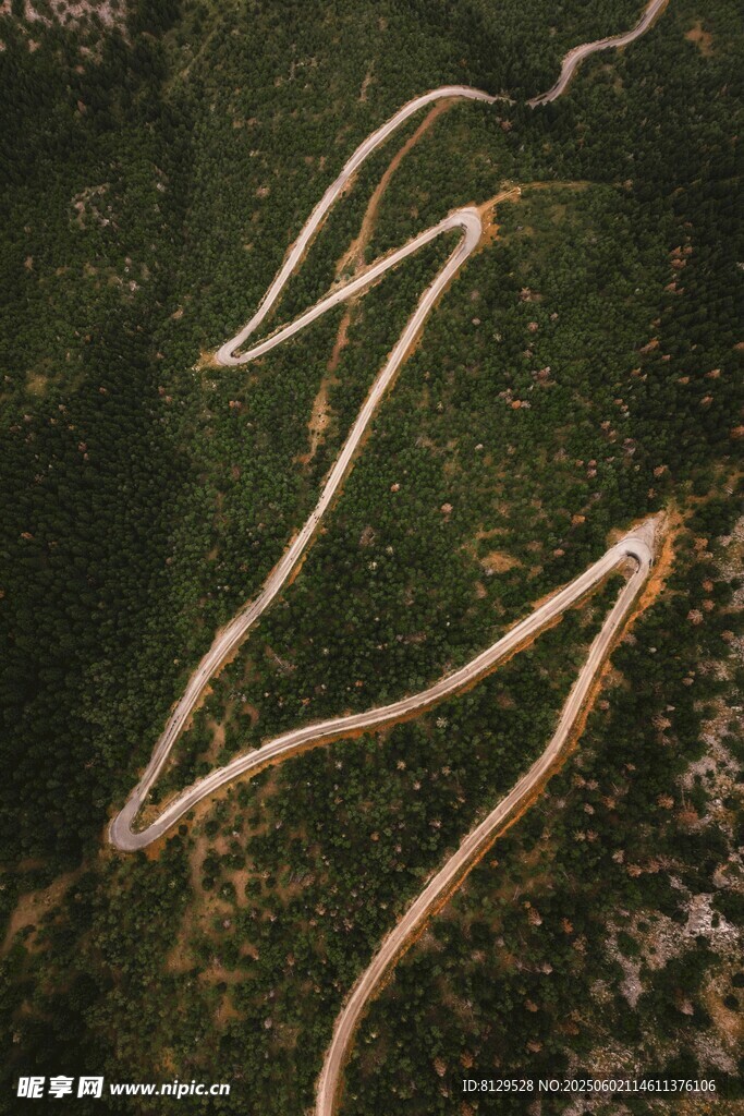 蜿蜒山路穿梭于蔥郁山林