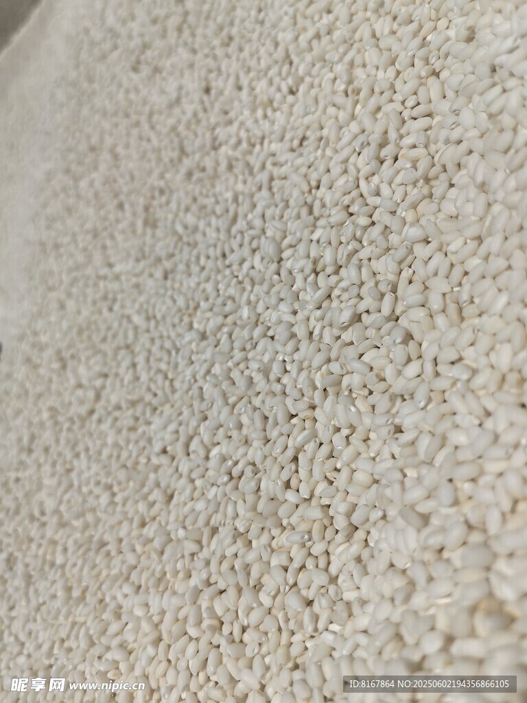 細膩質感的白色顆粒物質