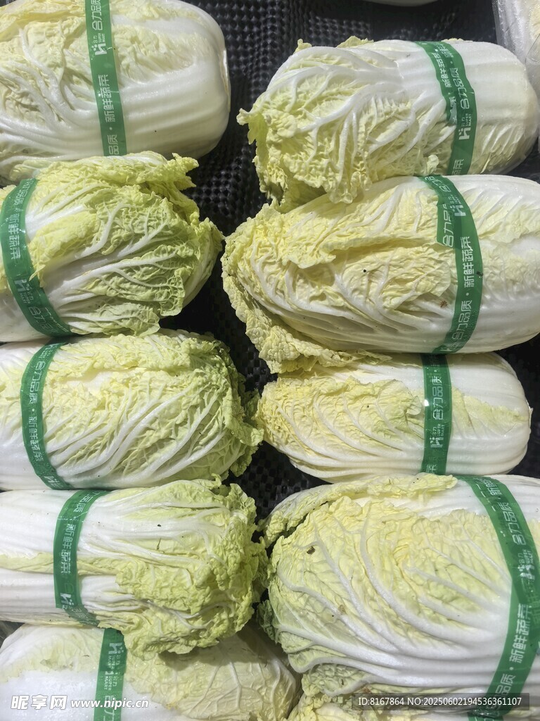 新鮮大白菜整齊堆疊
