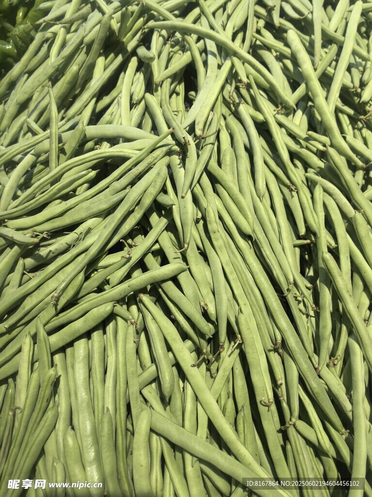 翠綠新鮮長豆角