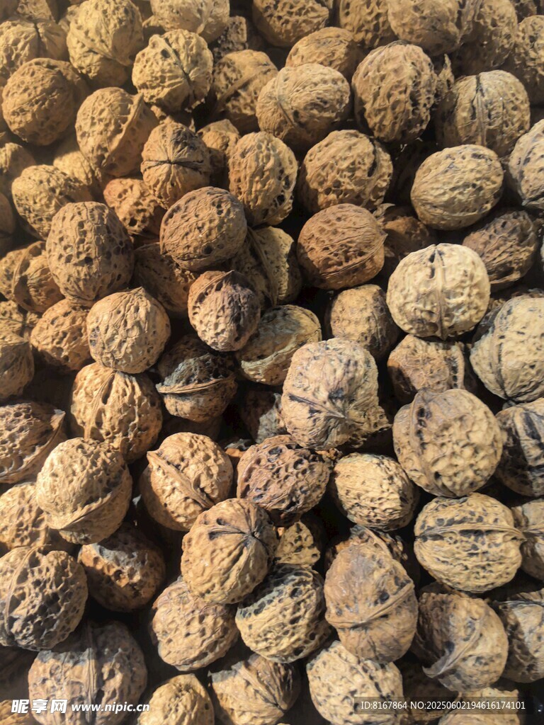 飽滿核桃堆 品質上乘