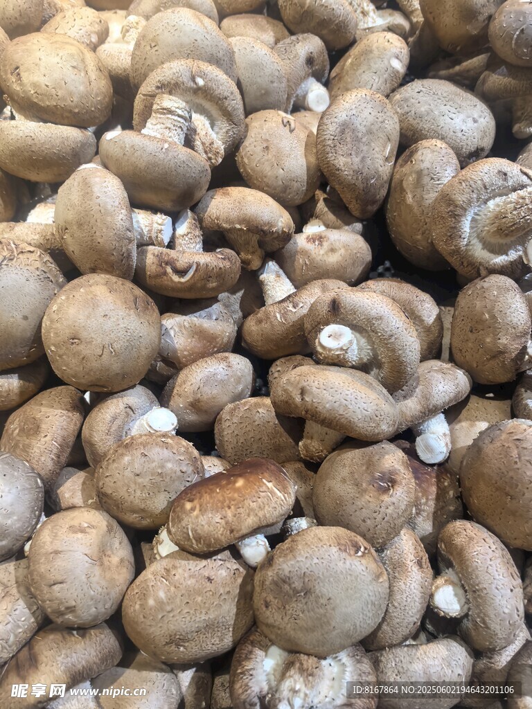 新鮮蘑菇堆疊