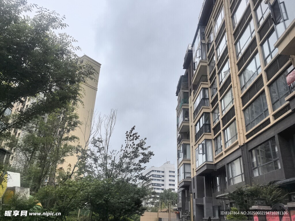 城市中的居民樓與綠植