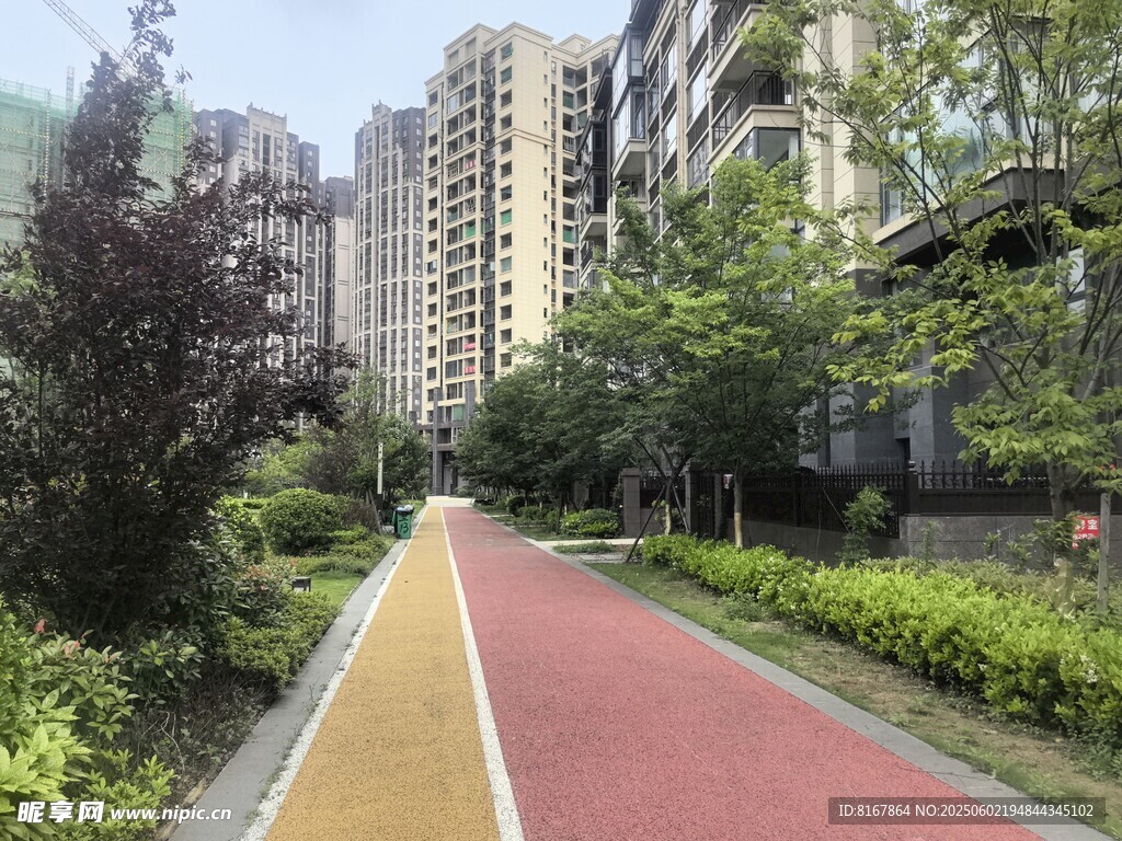 城市中的多彩林蔭步道