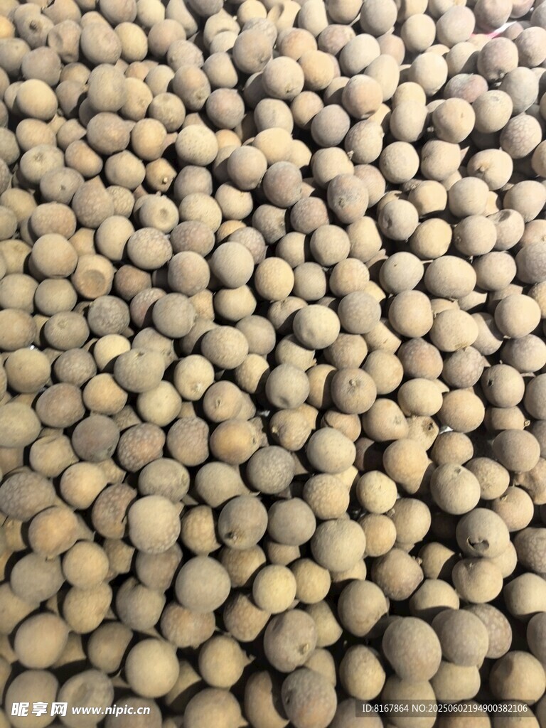 飽滿圓潤的大豆顆粒