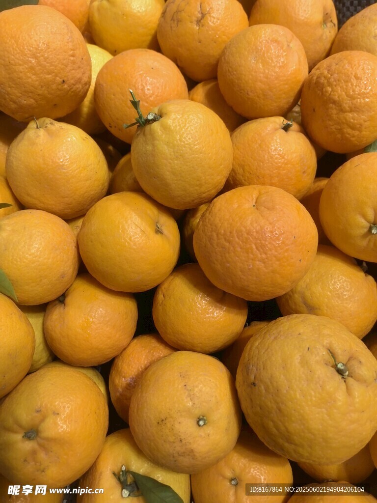 一堆飽滿的新鮮橙子