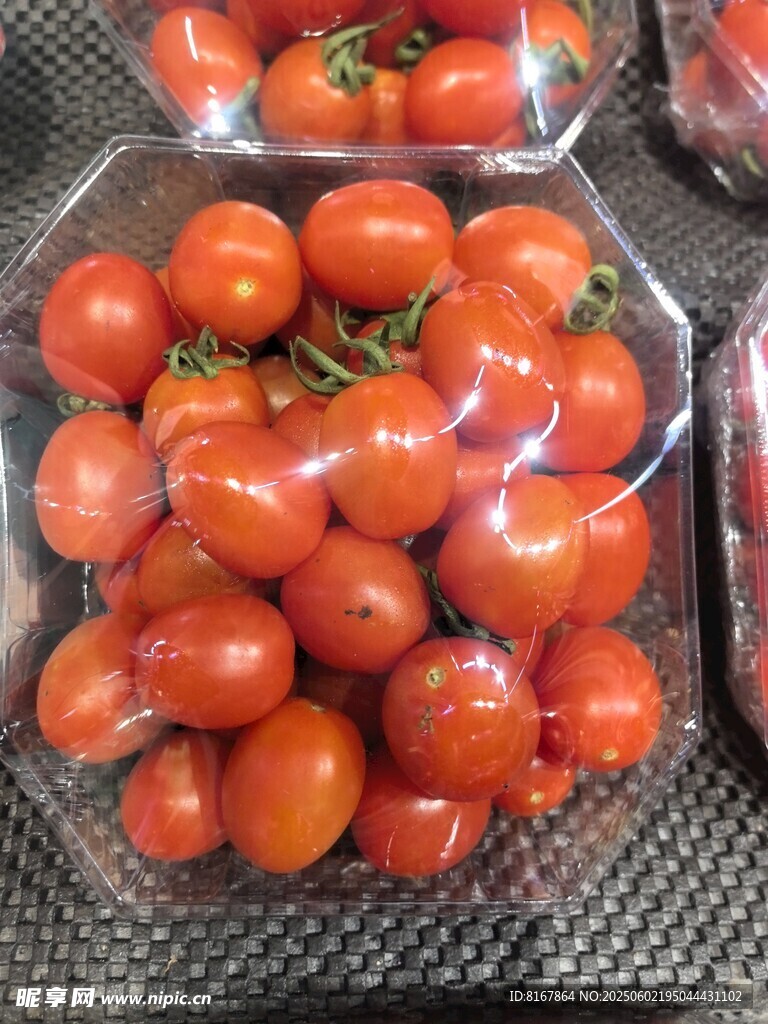 新鮮盒裝小番茄