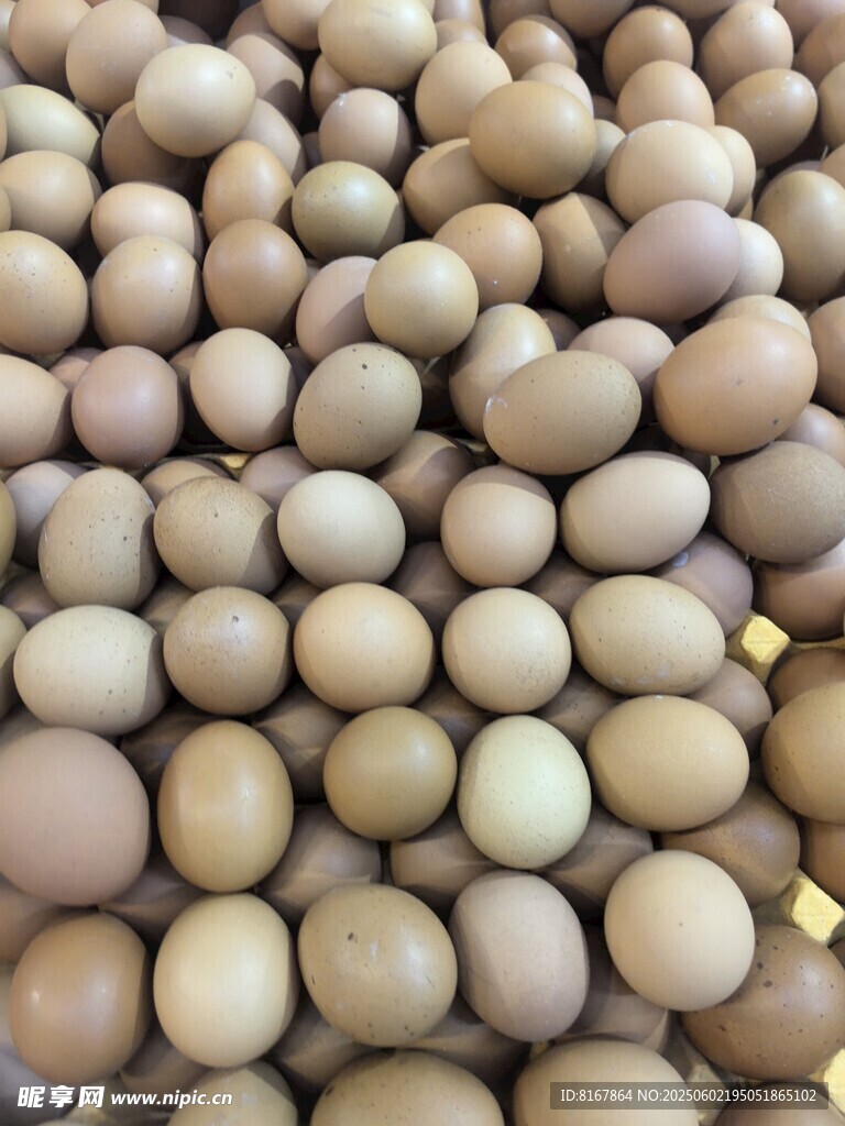 大量雞蛋整齊排列