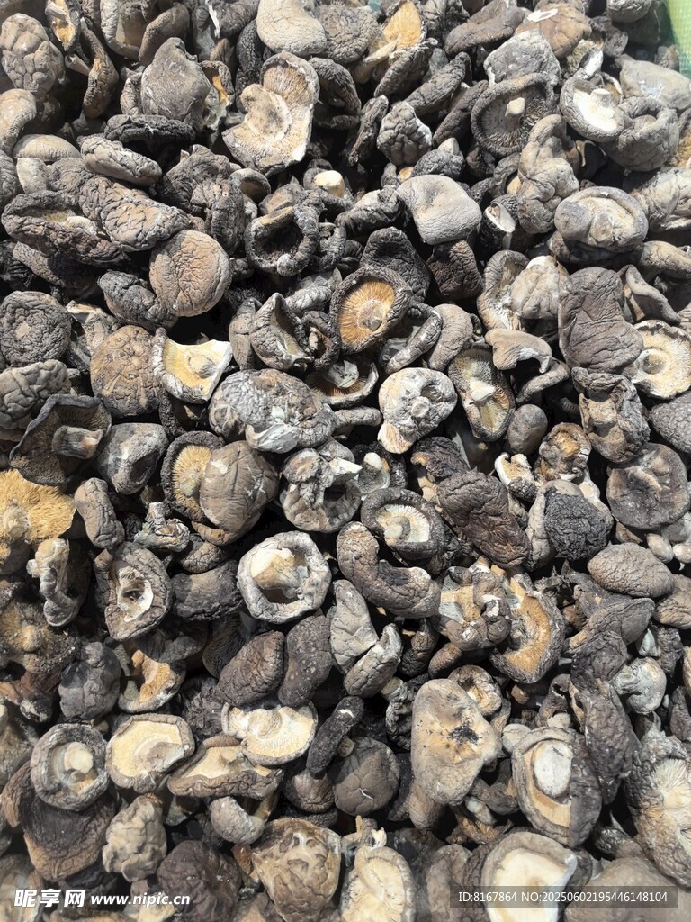 一堆菌類干貨特寫
