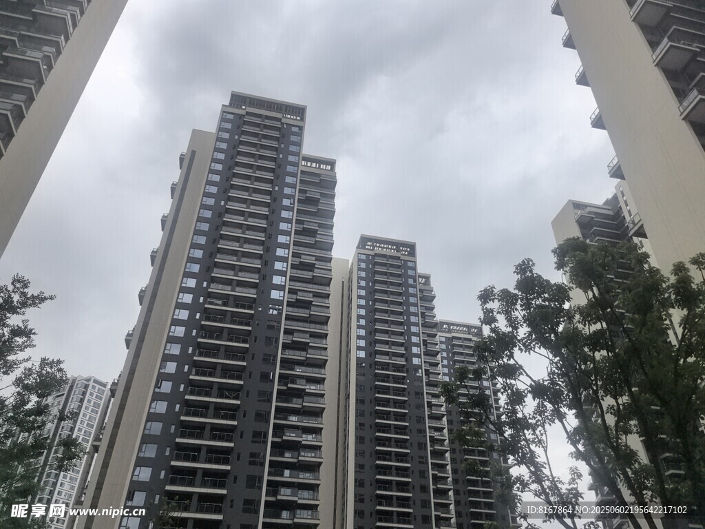 高層住宅樓與綠樹景觀