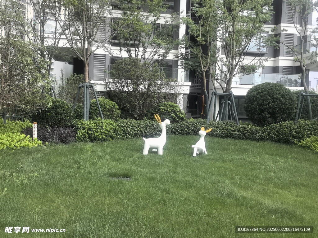 草坪上的兩只可愛小狗