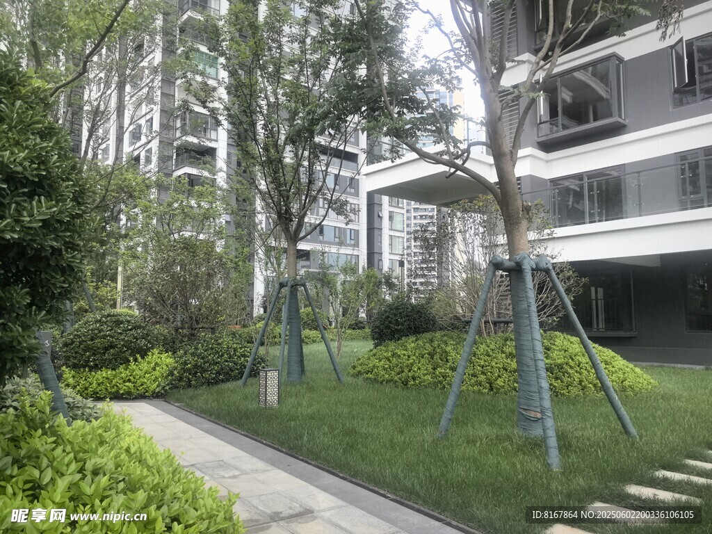 現代小區內的綠植景觀
