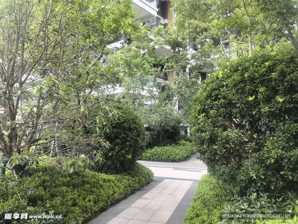 幽靜綠意小徑