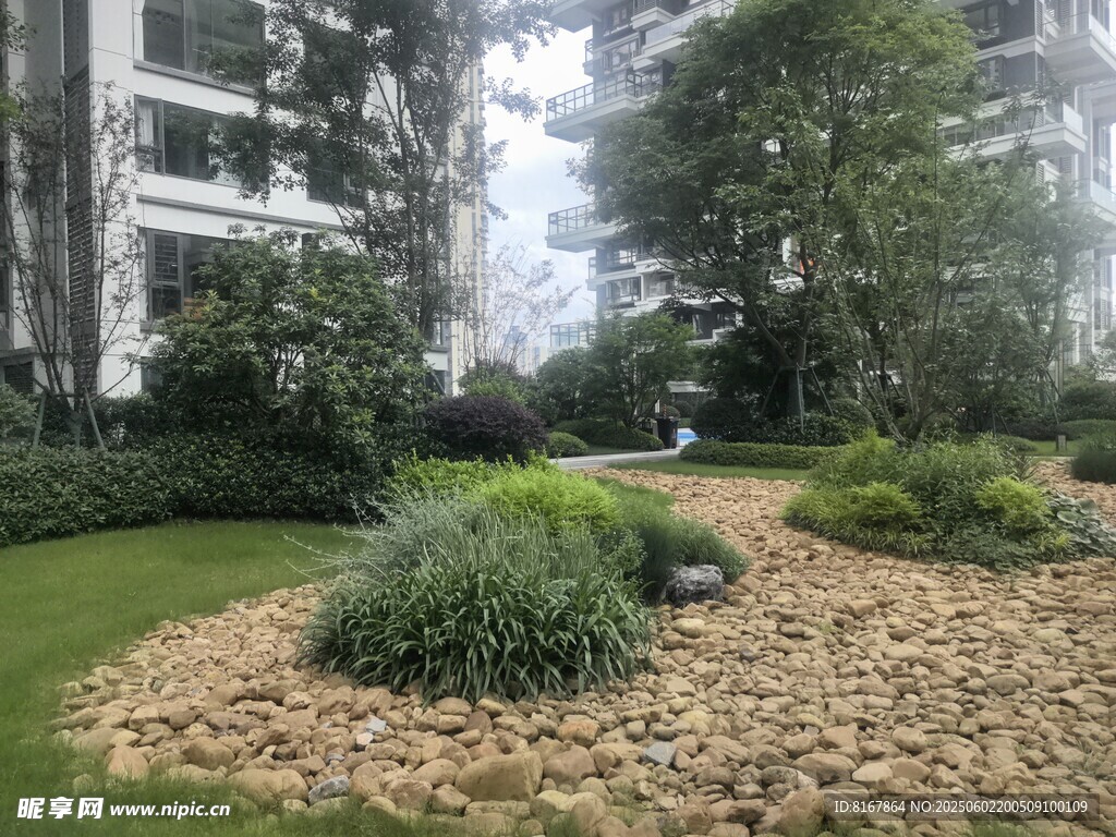 小區(qū)內的綠植景觀