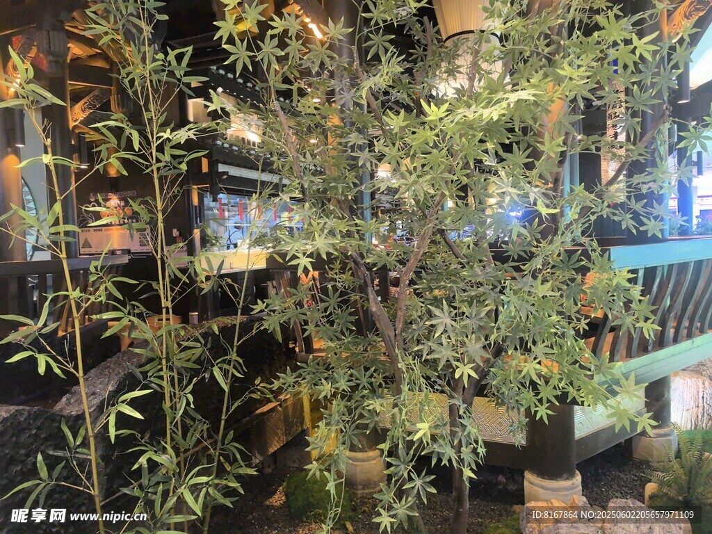 室內(nèi)綠植景觀布置