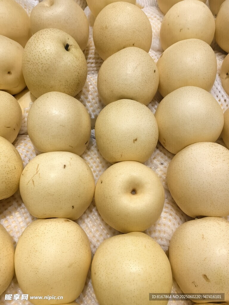 新鮮黃皮梨果實展示