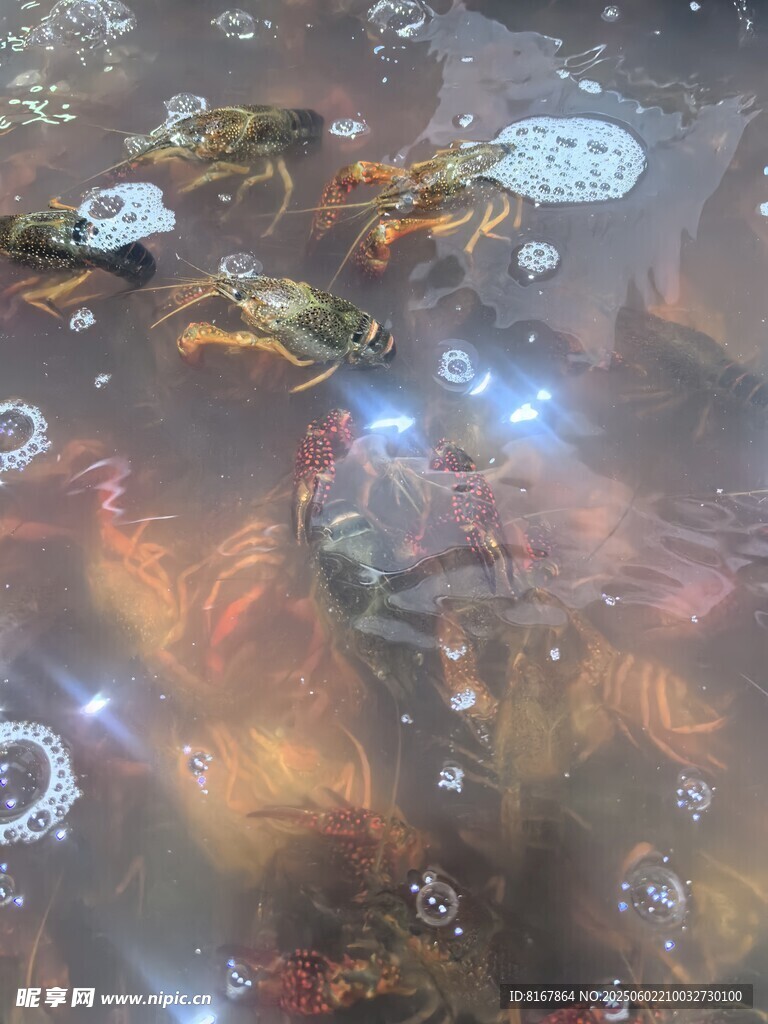 夢幻水底世界奇幻景象