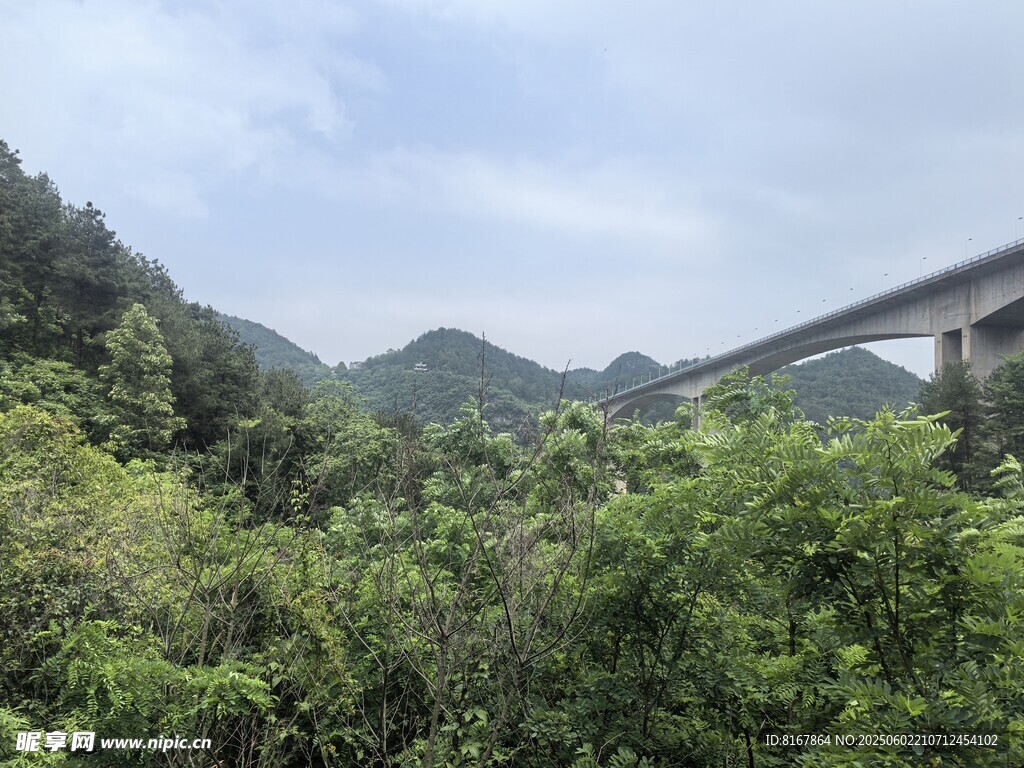 山間綠意中的高架橋