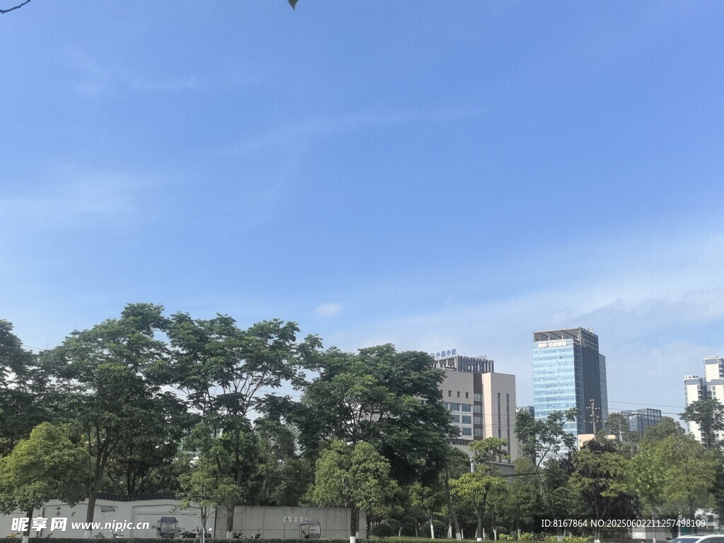 城市綠樹與高樓景觀