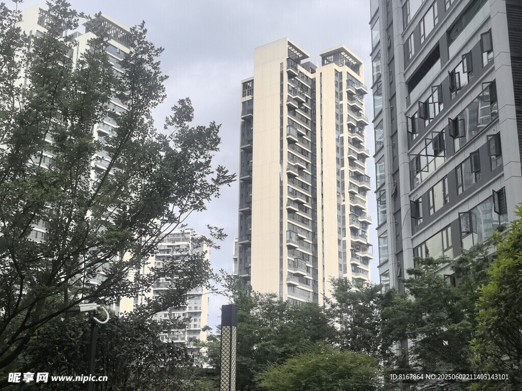 城市中林立的高層住宅樓