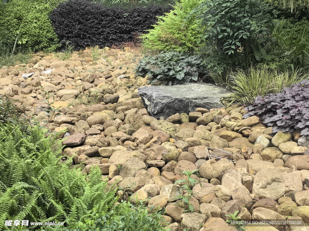 石徑綠植間的靜謐小景