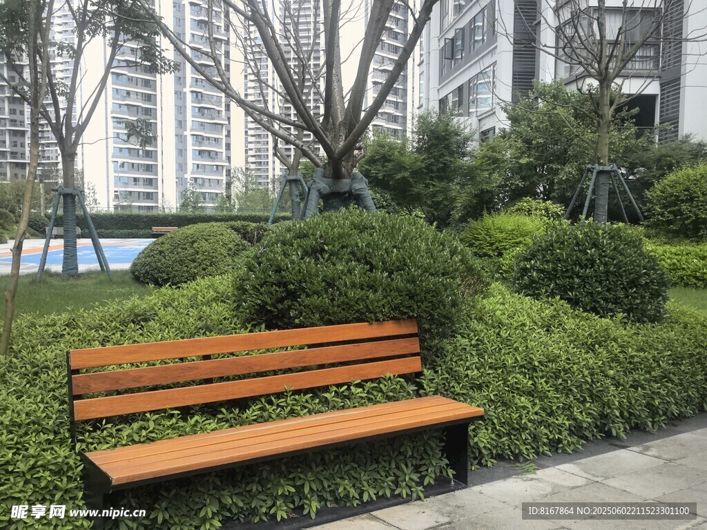城市綠植中的木質長椅