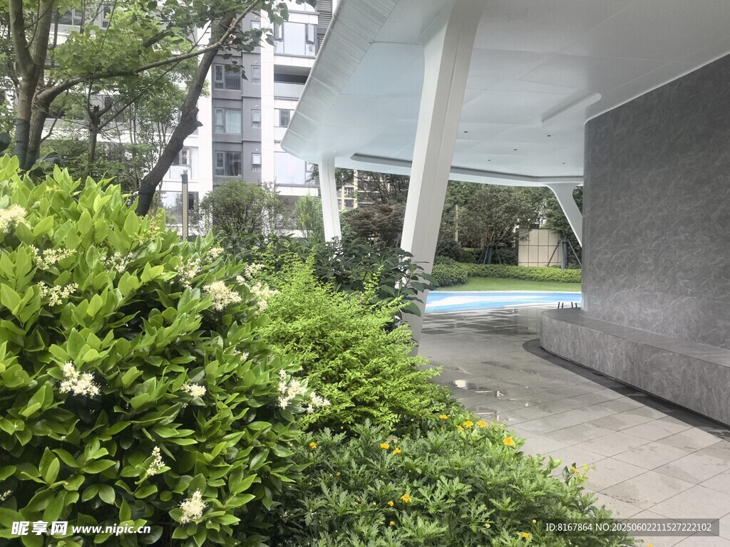 庭院綠植景觀一角