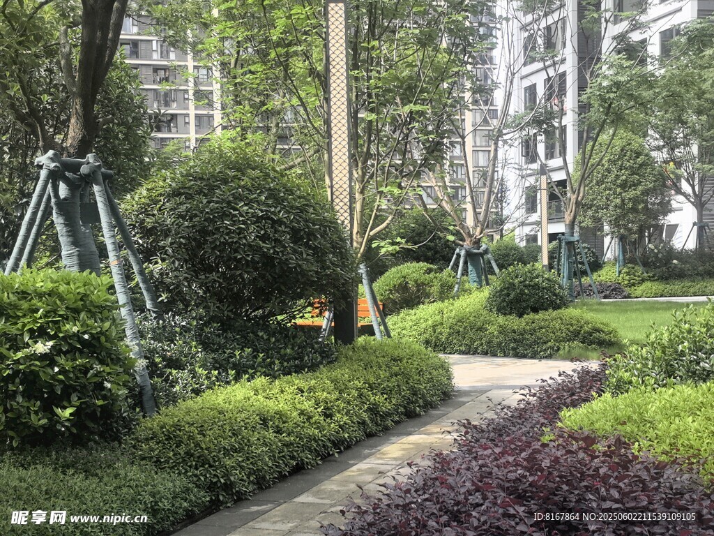 小區內的精致園林景觀