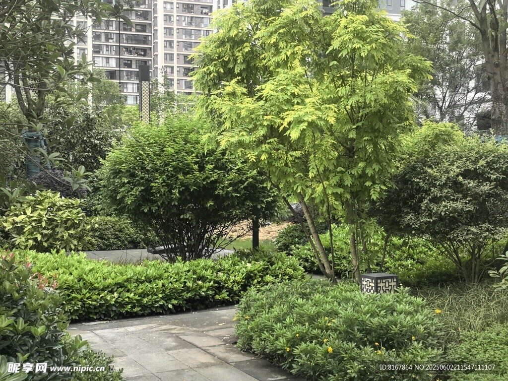 城市中的靜謐綠植景觀