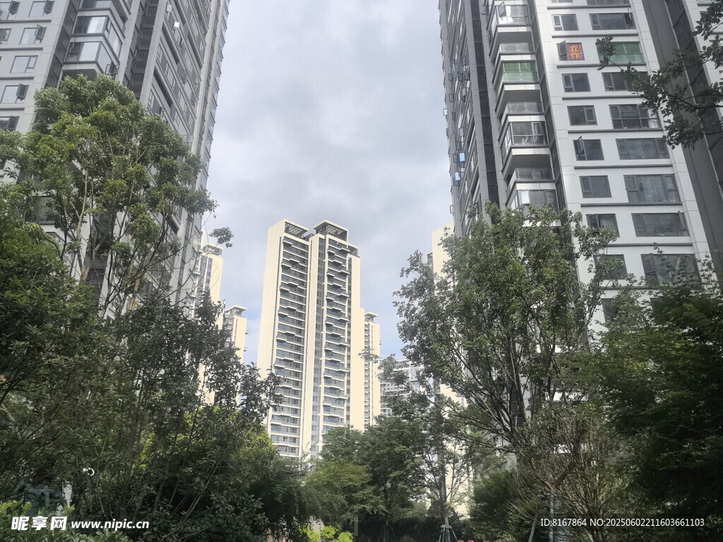 城市中的高樓與綠樹景觀