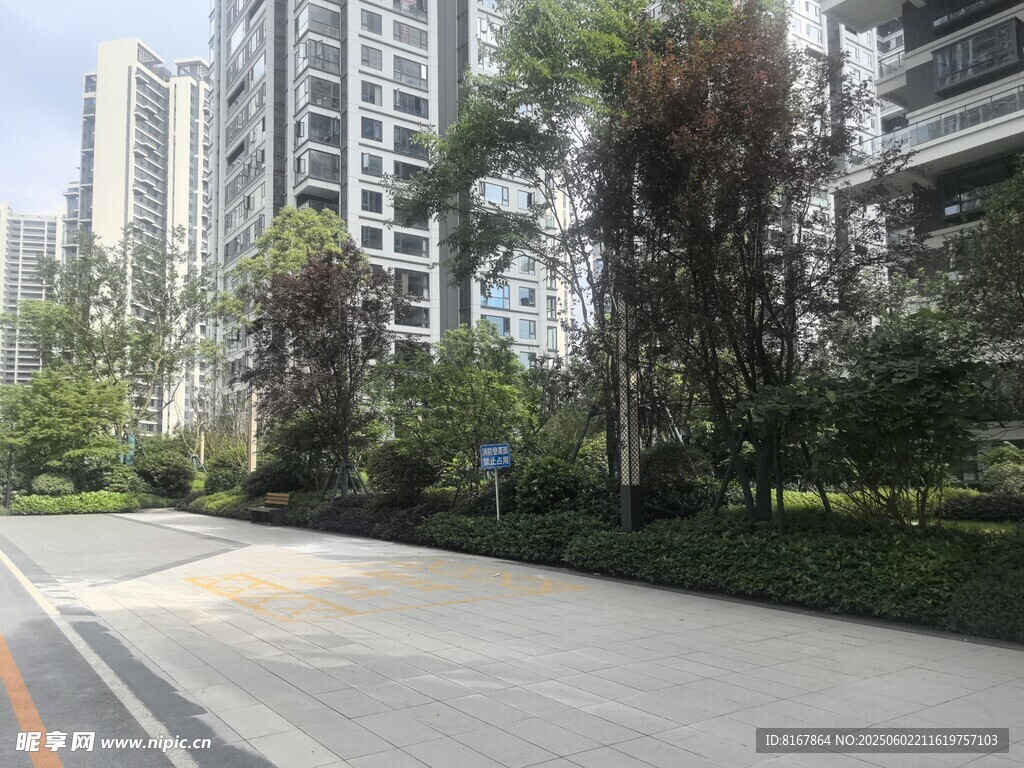 城市道路旁的綠植與高樓