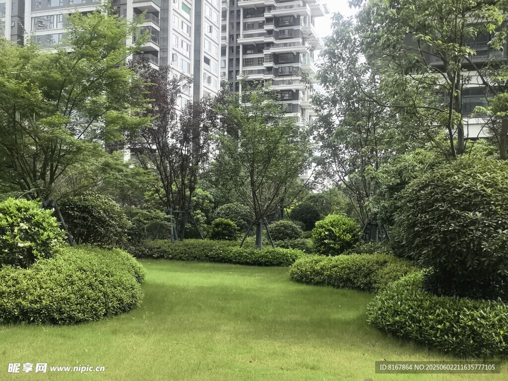 城市中的靜謐綠植景觀