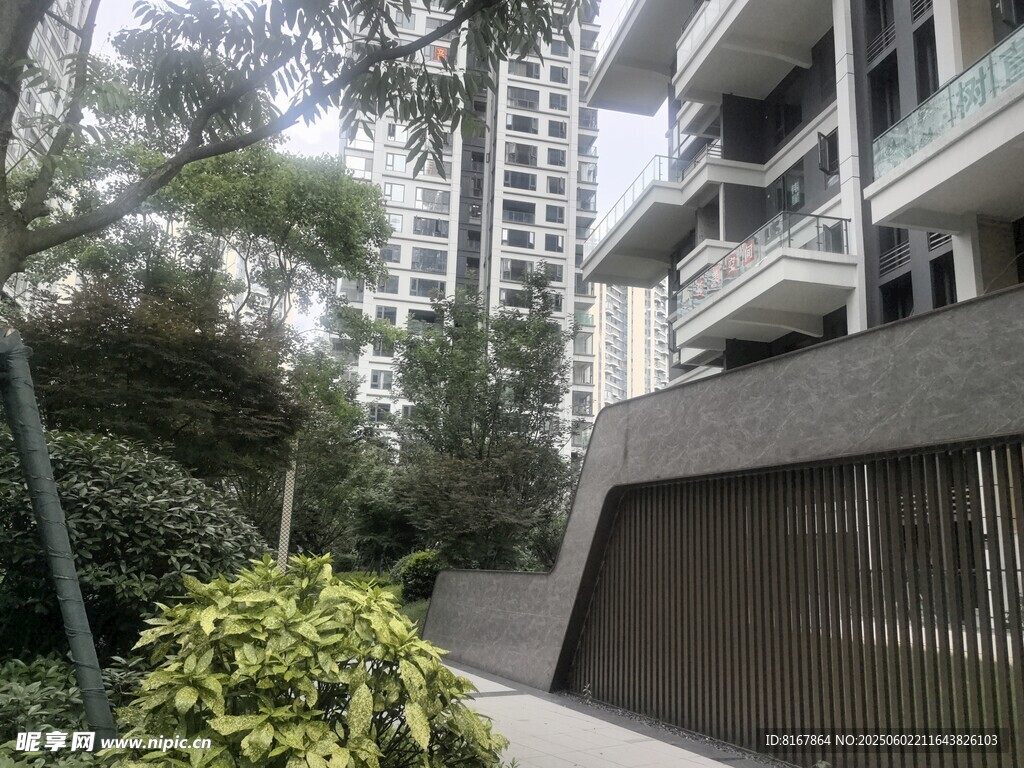 現代住宅旁的綠植景觀