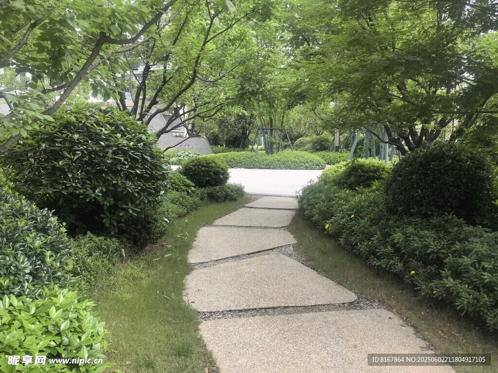 林間石板小徑綠意盎然