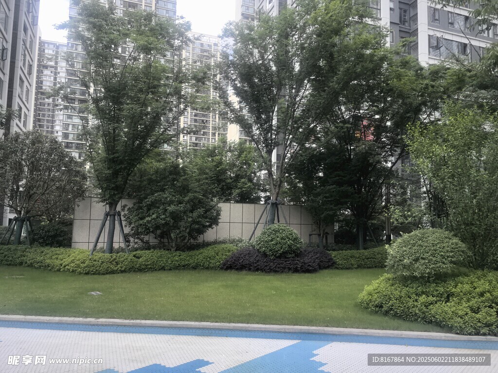 小區內的綠植景觀