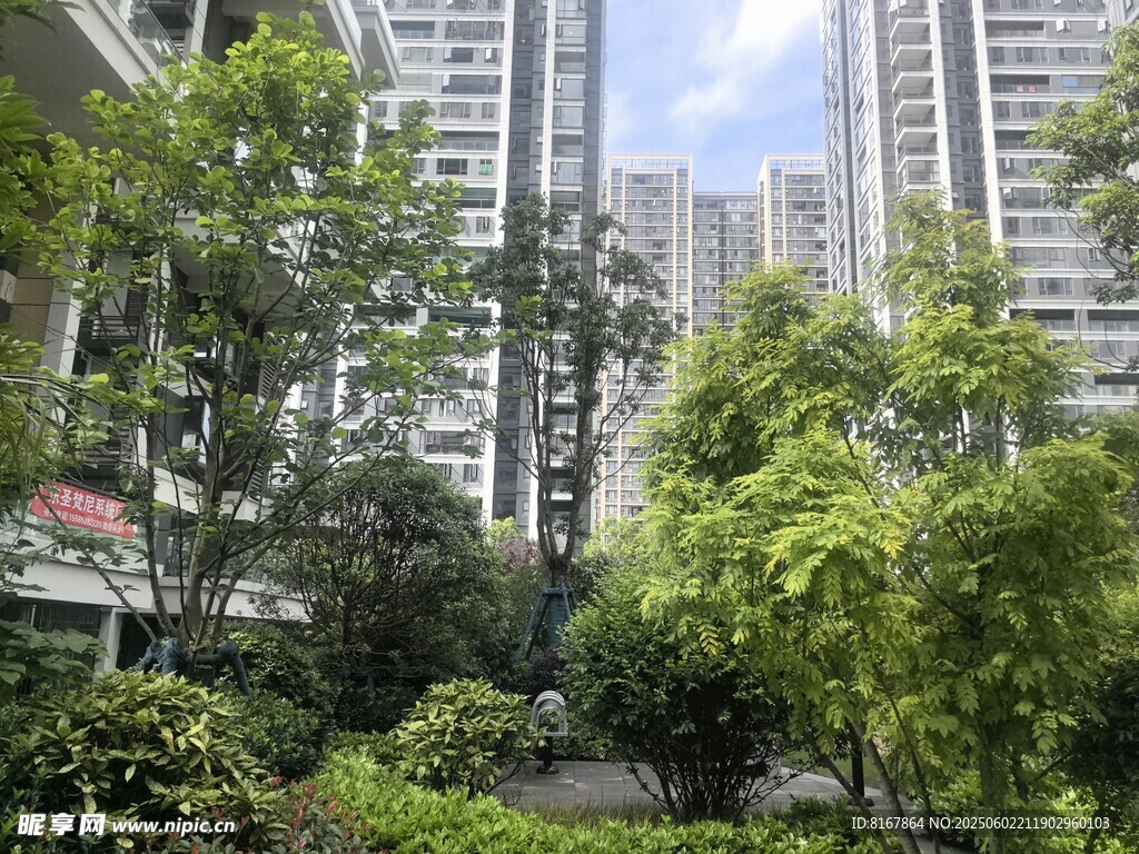 城市中的綠植與高樓景觀