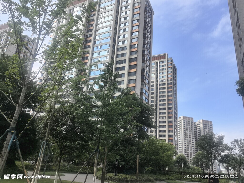 城市高樓與綠樹景觀