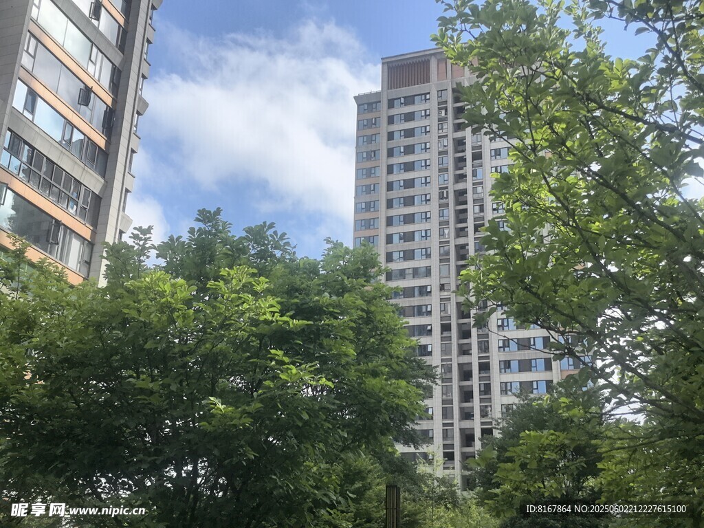 城市中高樓與綠樹相映