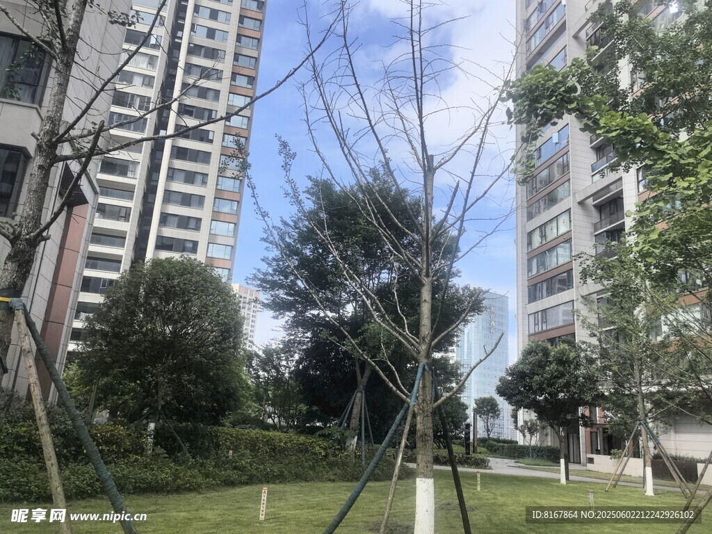 小區內的獨特金屬藝術裝置