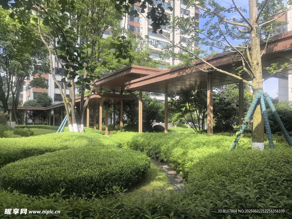 小區(qū)內(nèi)的精致園林景觀