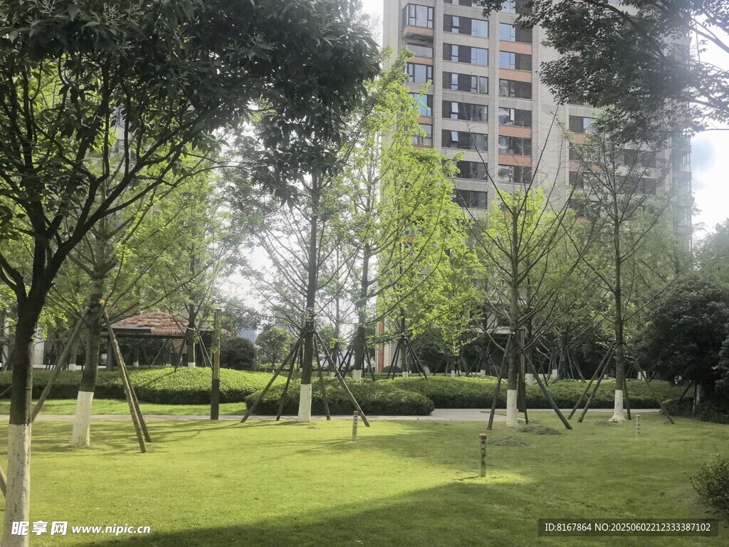 城市中的靜謐綠化公園