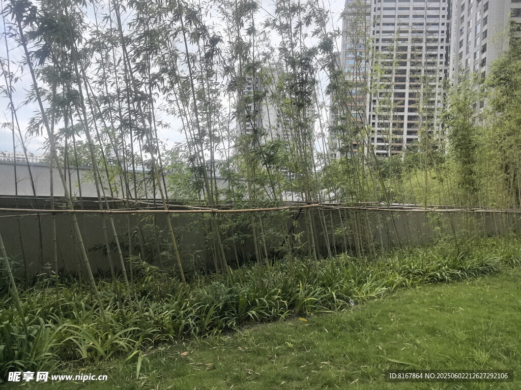 城市中的綠植圍欄景觀