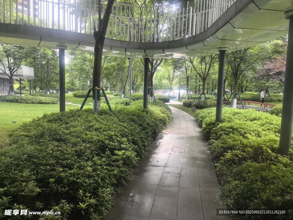 林間小徑綠意盎然的景致