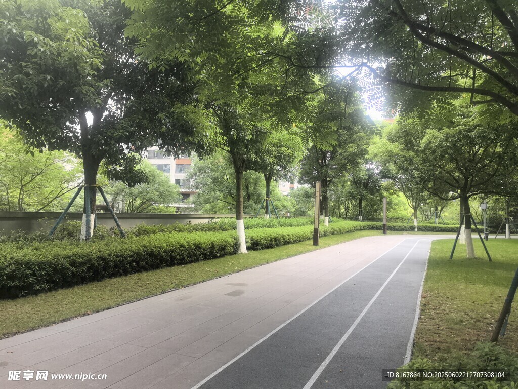 林蔭下的靜謐騎行道路