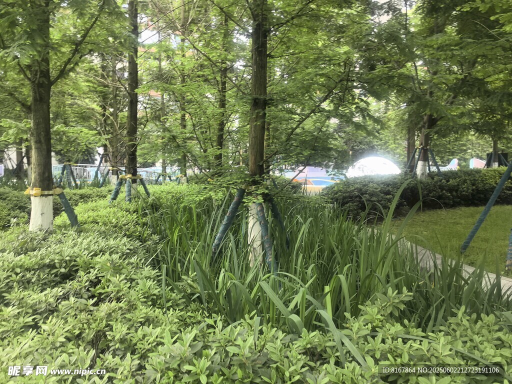 城市中蔥郁的綠植景觀